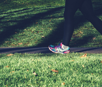 ejercicio suave optimmus