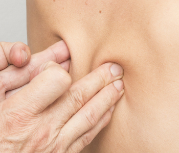 columna vertebral optimmus